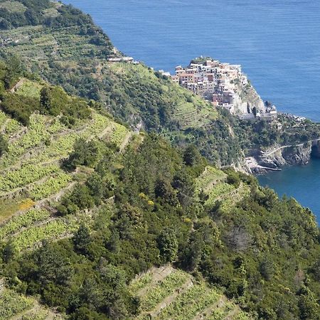 Pet Friendly Apartment In Monterosso With Wifi Monterosso al Mare Exterior photo